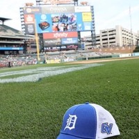 GVSU Night at Comerica Park